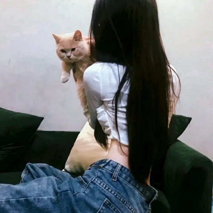 少年好莱坞第一季